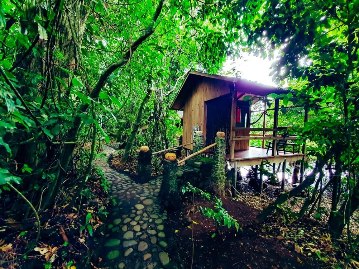 Reserva Ecologica Nanciyaga Catemaco Exterior foto
